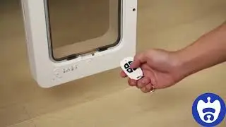 Smart RFID Cat Door UK Review: Automatic Microchip Pet Door with Secure Locking!