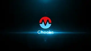 Morpheus Minute: Checks
