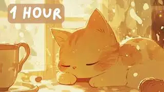 Cute Cat Mix | Work, Study, Chill, Relax | 1 Hour | Neko Aesthetic