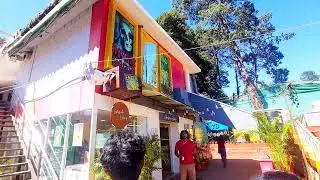 Ooty Lake Boat House and Boat Ride | Complete Travel Guide
