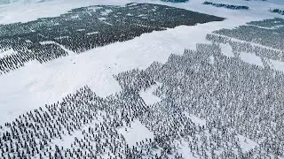 75.000 WEST KINGDOMS vs 62.000 DWARFS | Epic Fantasy Battle Simulator