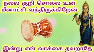 நல்ல குறி சொல்ல மீனாட்சி வந்திருக்கிறேன் இன்று என் வாக்கை தவறாதே #meenakshi #அம்மன் #meenakshiamman 