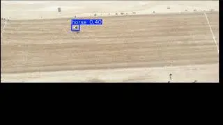 REAL-TIME HORSE DETECTION AND SPEED TRACKING IN TENT PEGGING USING DEEP LEARNING YOLO