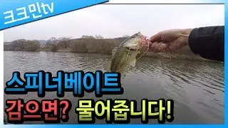 스피너베이트 배스낚시(병천천)