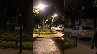 Noches en la condesa #cdmx #amsterdam #parque #condesa #mexico #nature