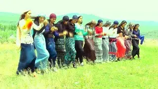 Mecit BAĞ Potpori 2014
