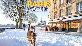 Paris Covered in Snow Is Too Beautiful to Be Real - A Magic Winter Walk