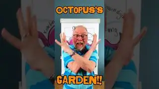 OKTOPUS - DIE INTELLIGENZBESTIE!  #flipchart #flipcharttraining #visualisation #multitaskingstaff