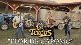 Los Tercos - Flor de Capomo