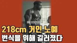 218cm 거인 노예의 다른 노동