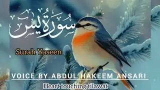 Surah Yaseen سورةياسين By Sheikh AbdulHakeem Ansari Full With Arabic Tax#surahyaseen#quran #اكسبلور 