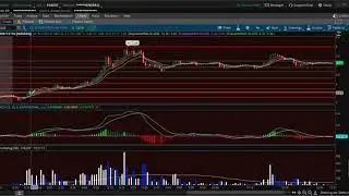 CODX Trade Recap 65% Gains: Day Trading Penny Stocks