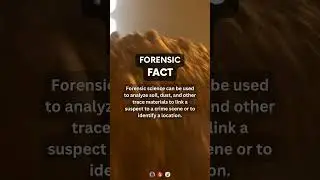 Crime scene analysis | #forensicscience #forensics #crimesceneinvestigation