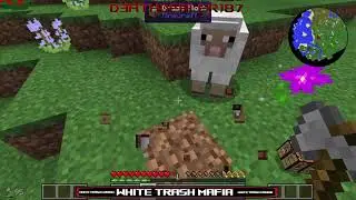 What world is this? - Natural Magic Mod Pack Minecraft