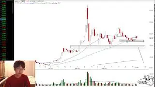 Swing Idea, weed stock- $APHA