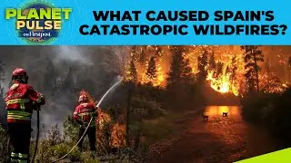 Spain: Deadly Wildfires Spark National Emergency, Over 400,000 Hectares Burned | Planet Pulse | N18G