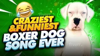 Boxer Dog Funny Song 😂 Funny Dog Video Ever 😹 😂👍