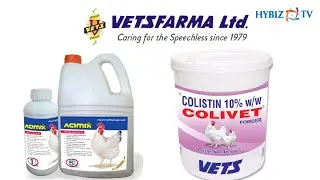 Vetsfarma - Veterinary Medicine & additives | Poultry India Expo 2022 | Hybiz tv