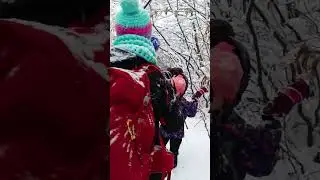 Marosv&aacute;s&aacute;rhely, Somostető -N&eacute;metkalap- Terebics tető ❄️04.01.2025❄️ Targu Mures -Platou Cornesti❄️