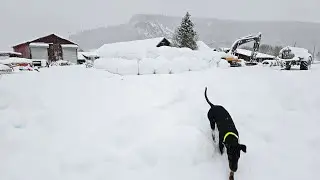 Trip to Norway in December 2025 - Day 6