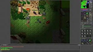 Tibia [7.4] 29 mage PKs players AFK training until red skull