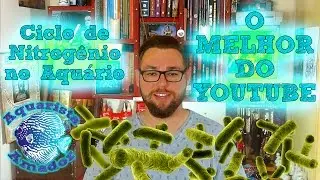 FILTRAGEM: Ciclo de Nitrog&ecirc;nio no aqu&aacute;rio &ndash; O melhor do youtube