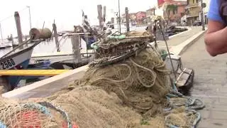 PESCA ALLE SEPPIE, PROTESTA CONTRO L'ESTRAZIONE DEI POSTI: “CI TOCCA ANDARE CON VENEZIA”
