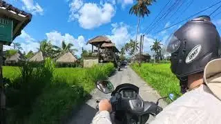 Bali by Scooter: A Journey Through Ubud’s Green Paradise