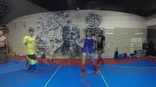 Elite Karate Training Camp at Okinawa Dojo