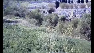 Jjrch37 en la almudena