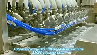 Water cups filling and sealing machine