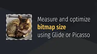 Measure and optimize bitmap size using Glide or Picasso