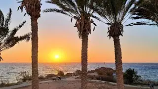 Queens Bay Hotel, Paphos, Cyprus, September 2025
