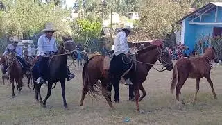Carrera de Caballos en Fiesta de San Isidro, Cajamarca 2025
