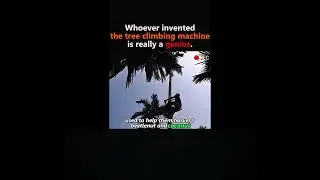 Whoever Invented the Tree Climbing Machine Is a Real Genius