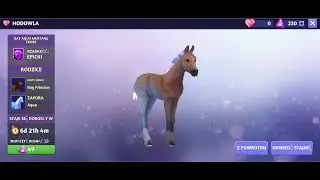 Gramy  w Horse Riding Tales - tworzymy nowego źrebaczka i pokazujemy mini grę Dragon Eggs ;)