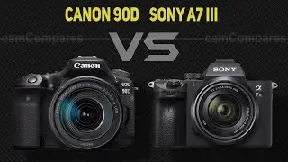 Canon 90D vs Sony A7 III  [Camera Battle]