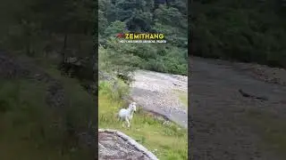 ZEMITHANG Indo China Border Arunachal Pradesh