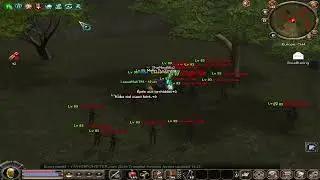 Metin2 Europe : LaaaaMaKTM Lv 35 VS Metin 85 ! :)