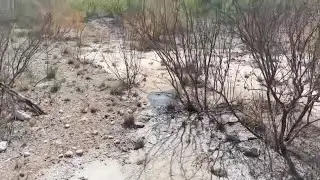 Forgotten oil and gas wells linger, leaking toxic chemicals