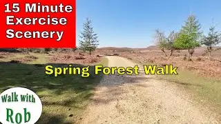 An Exercise Walk in the forest in early Spring #virtualexercisescenery