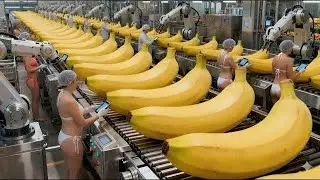 Inside a banana bread factory - An incredible automated production process