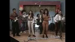 BALAIO DE GATOS - Moreno bonito (Raridade)