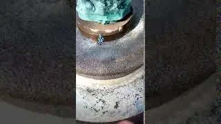 founder's fountain pheyden