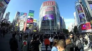 Street walk view of Shibuchika 涉谷