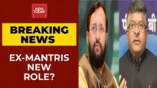 Modi Cabinet Reshuffle: Prakash Javadekar And Ravi Shankar To Get Key Roles In BJP | Breaking News