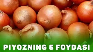 Piyozning 5 Foydali Xususiyati