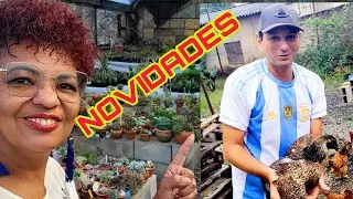 TOUR PELAS MUDANÇAD DO MEU JARDIM DE SUCULENTAS