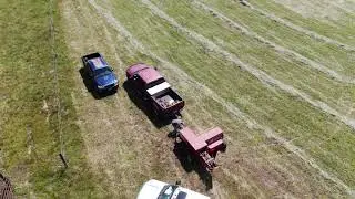 First Cutting 2020