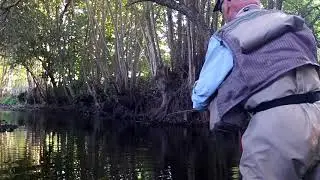 Fly Fishing Emergers in Summer